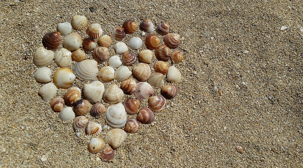 heart share out of seashells on the beach