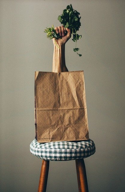 brown_grocery-bag