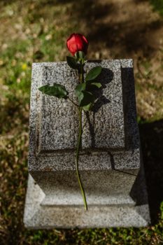 a rose by the tombstone