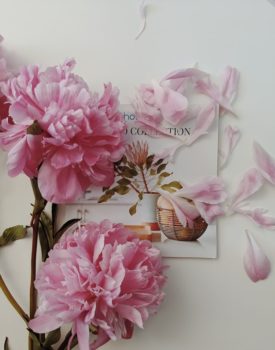 pink flowers on the magazine page
