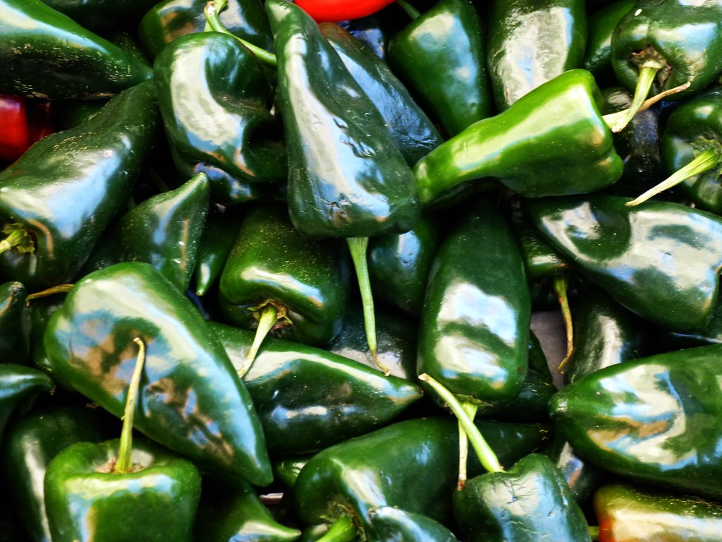 Cooking in Lockdown Enchiladas Spanish Language Blog