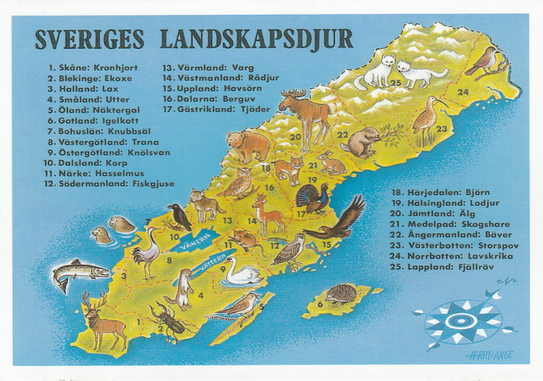 Swedish Animals by Province Svenska landskapsdjur Swedish Language Blog
