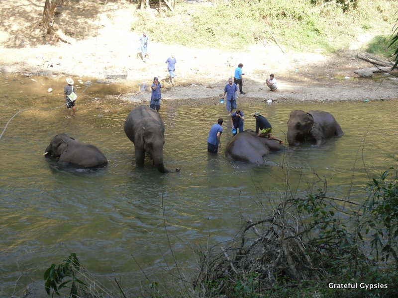 Make sure you get to bathe the elephants!